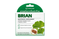 🌿 Brain Support – Ginkgo Nootropic /Brian Brand/